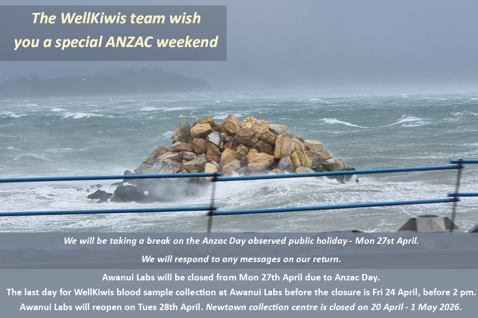 ANZAC Day website Home page b